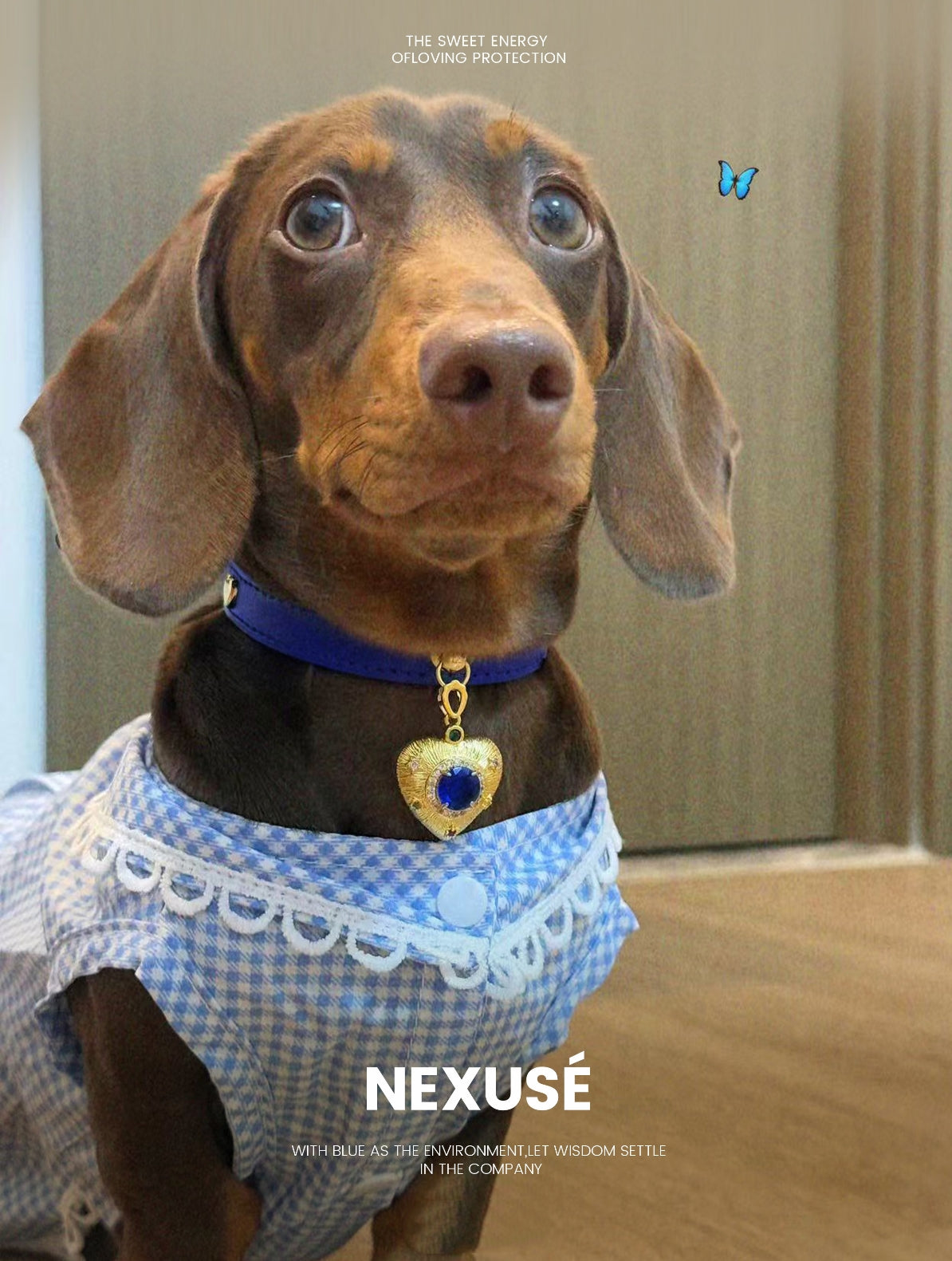 PurrFect™💙 Ocean Blue Gemstone Cat Collar with Gold Heart Charm – Luxury Designer Pet Collar for Cats